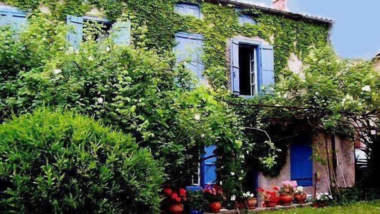 Photo of Outdoor in Peyrefitte-du-Razes