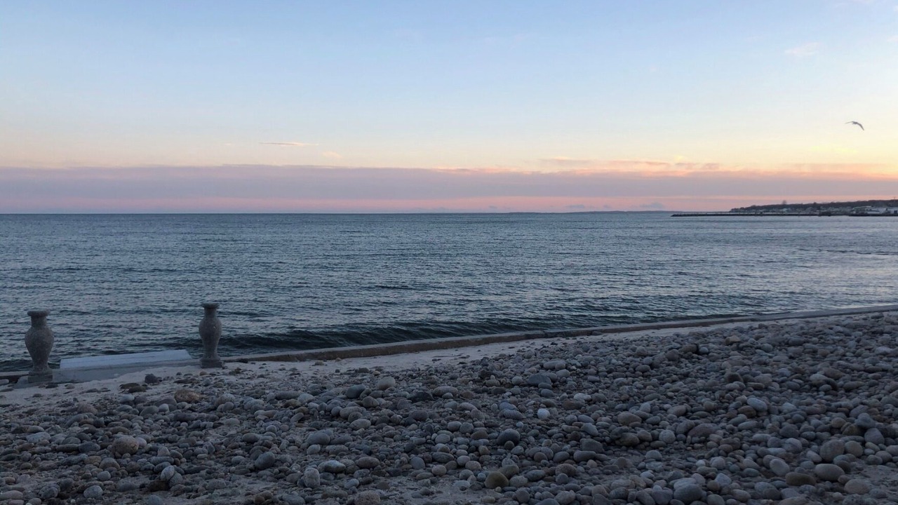 Photo of Others in Niantic