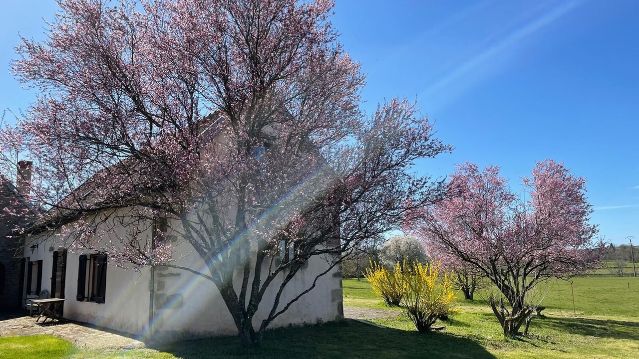 Photo of Outdoor in Diancey