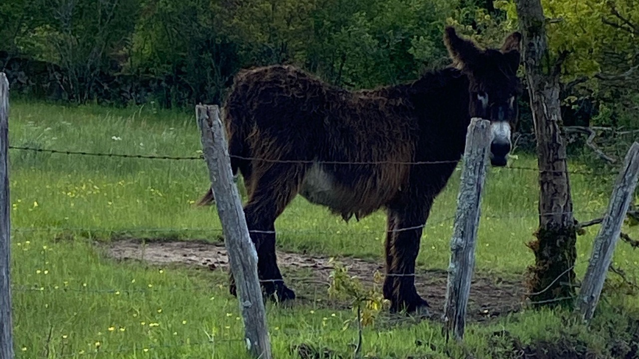 Photo of Outdoor in Saint-Martin-du-Puy