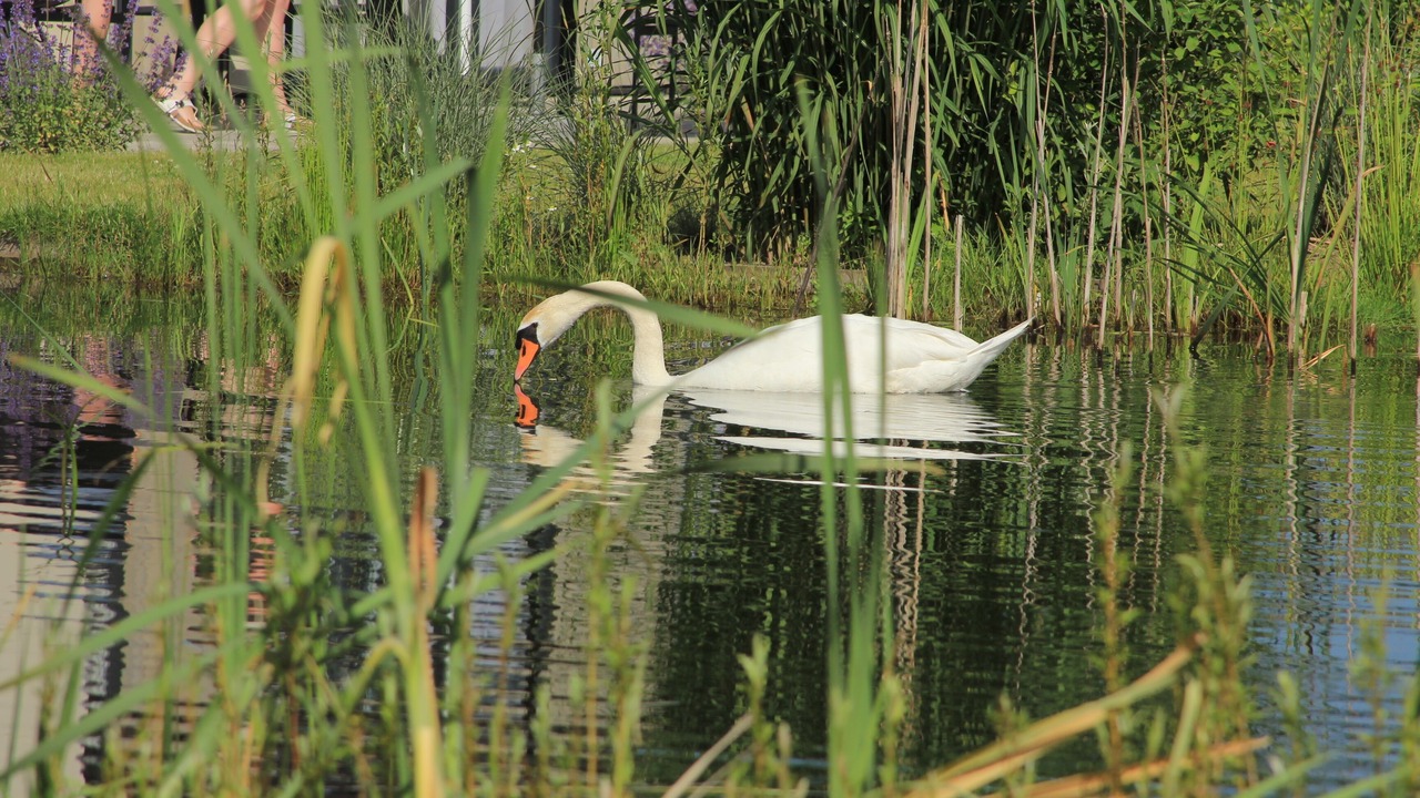 Photo of Outdoor in Olburgen