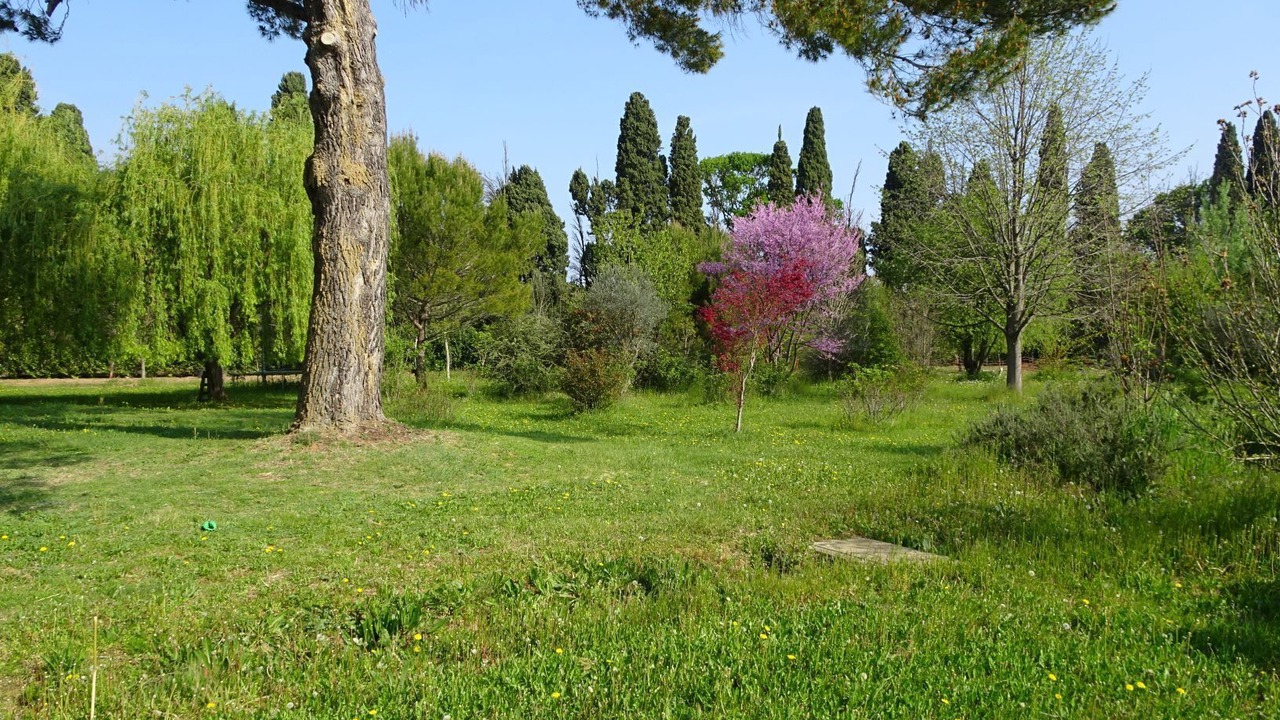 Photo of Outdoor in Plan-d'Orgon