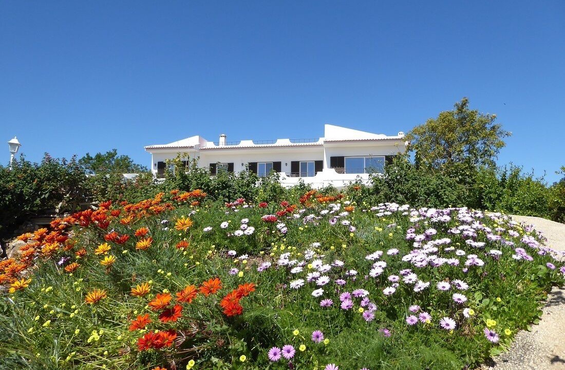 Photo of Outdoor in Vale da Lama