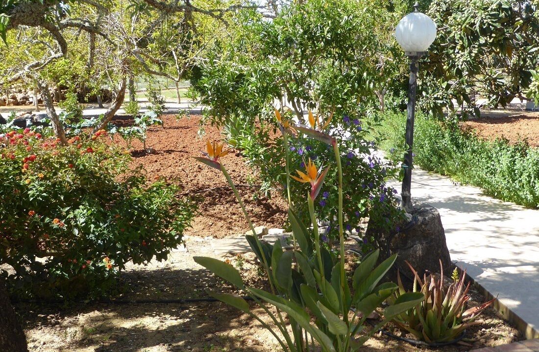 Photo of Outdoor in Vale da Lama
