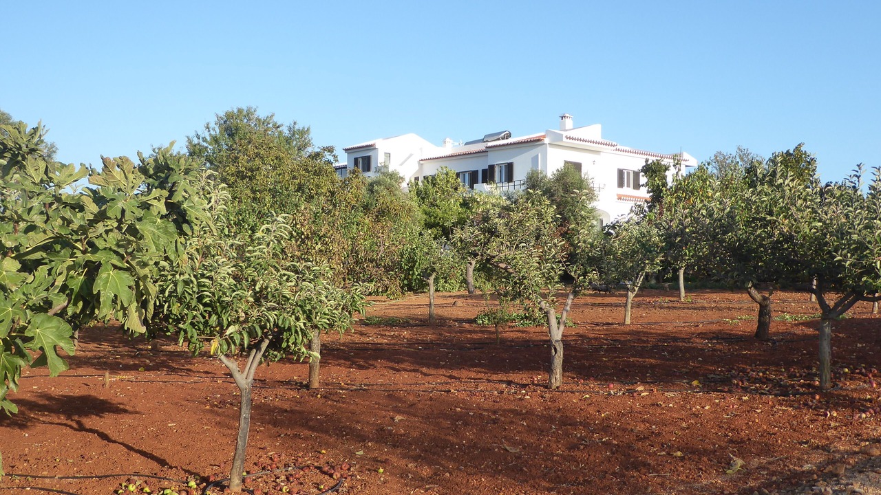 Photo of Outdoor in Vale da Lama