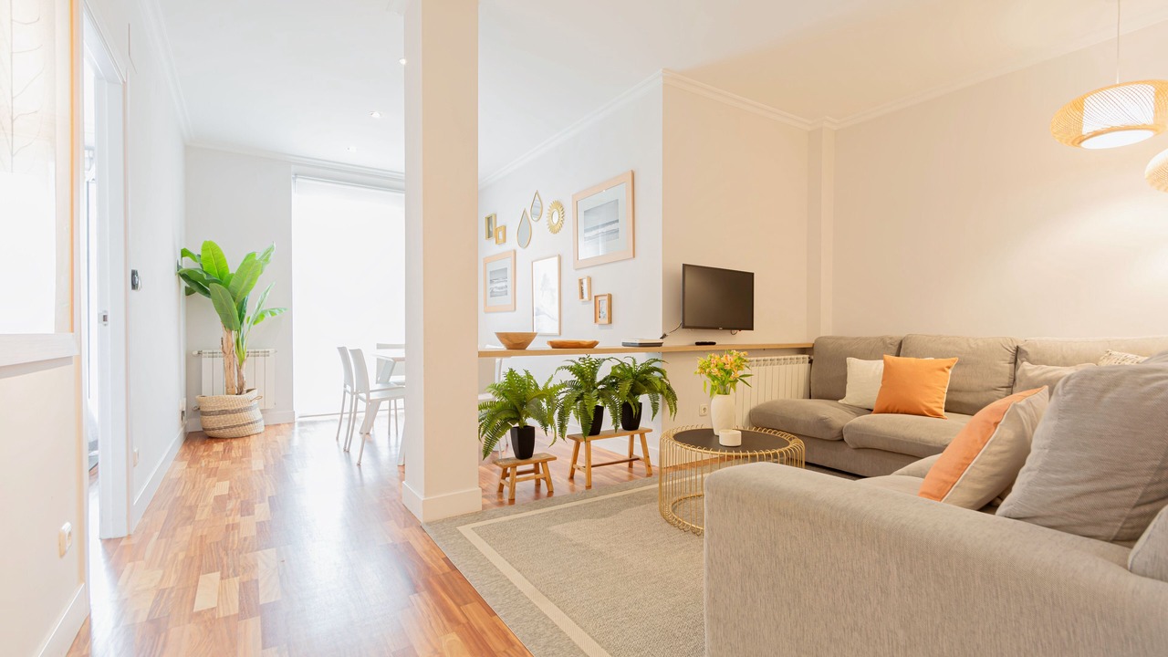 Photo of Livingroom in San Sebastian Centro