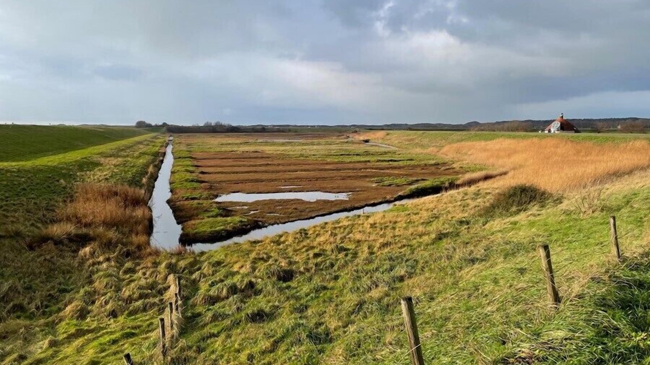 Photo of Outdoor in Westenschouwen