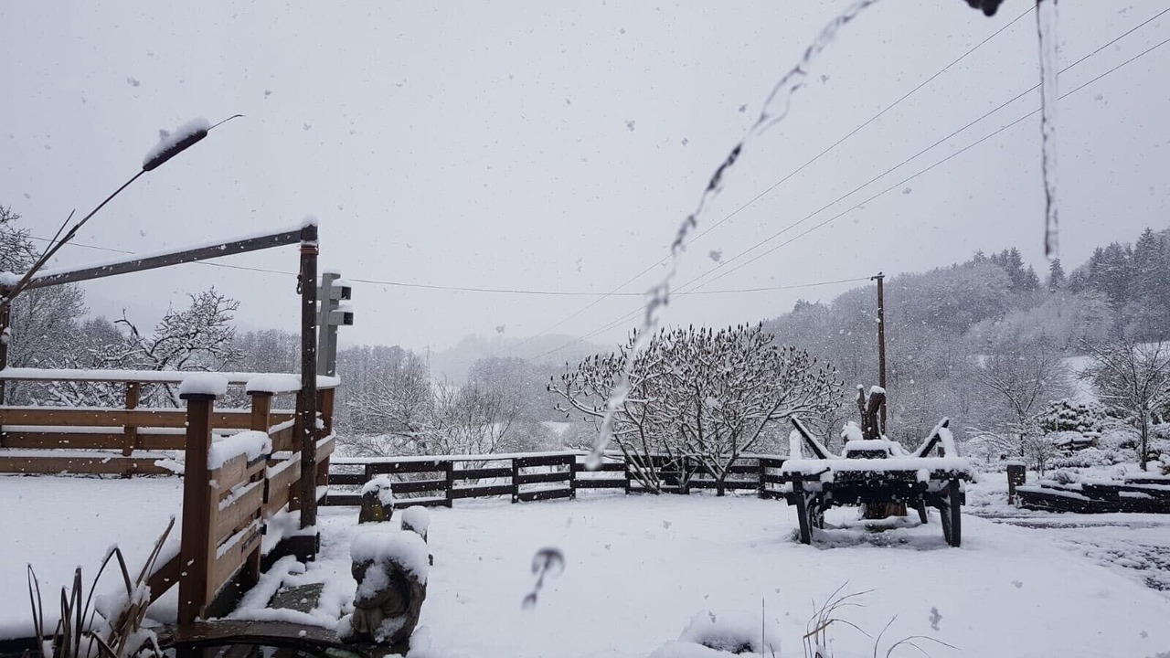 Photo of Outdoor in La Chapelle-devant-Bruyeres