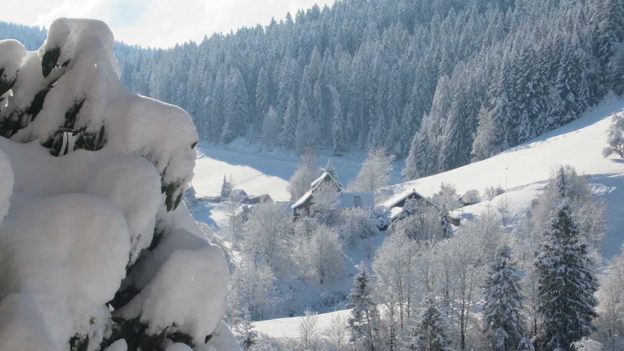 Photo of Others in Baiersbronn