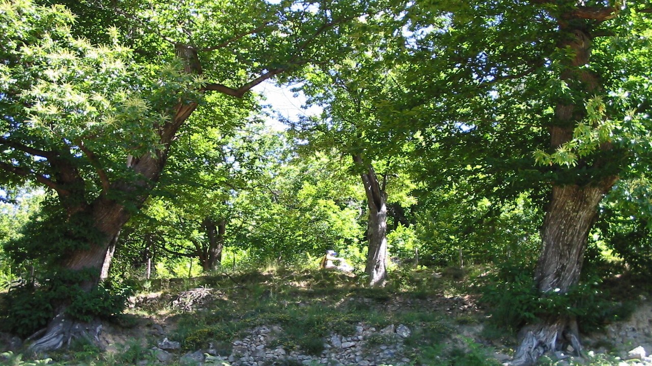 Photo of Outdoor in Blaunac