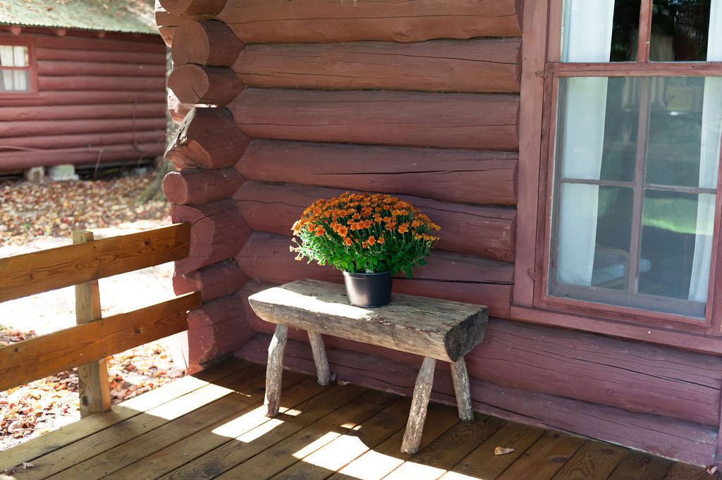 Photo of Outdoor in Pelkie