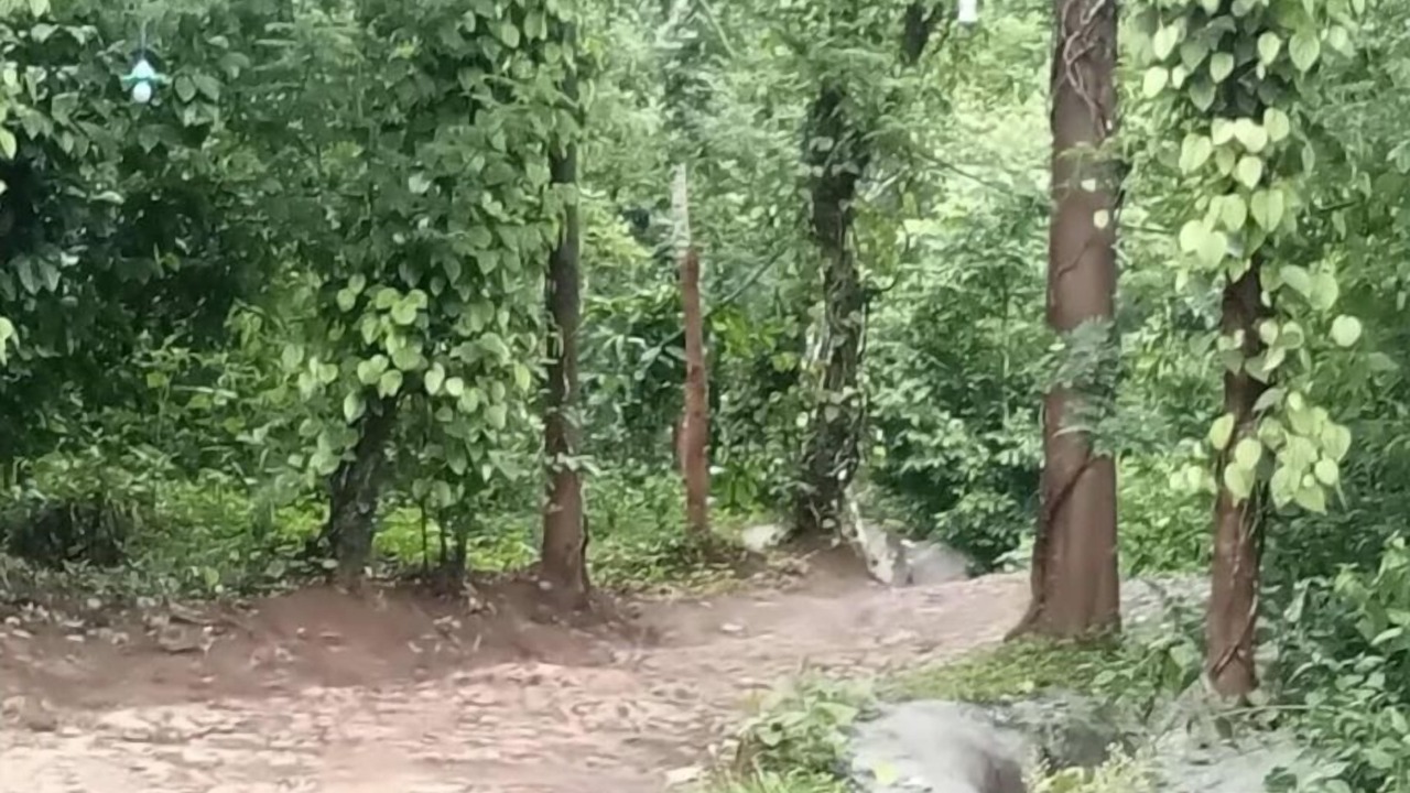 Photo of Outdoor in Kaimane