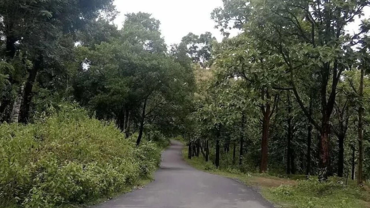Photo of Outdoor in Kaimane