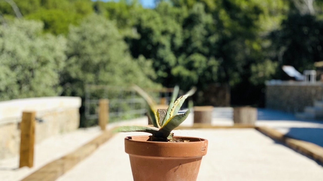 Photo of Outdoor in Salon-de-Provence