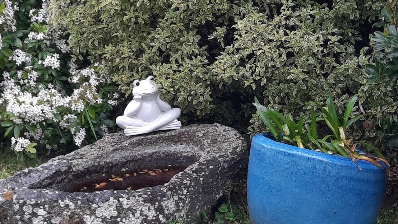 Photo of Outdoor in Treveneuc