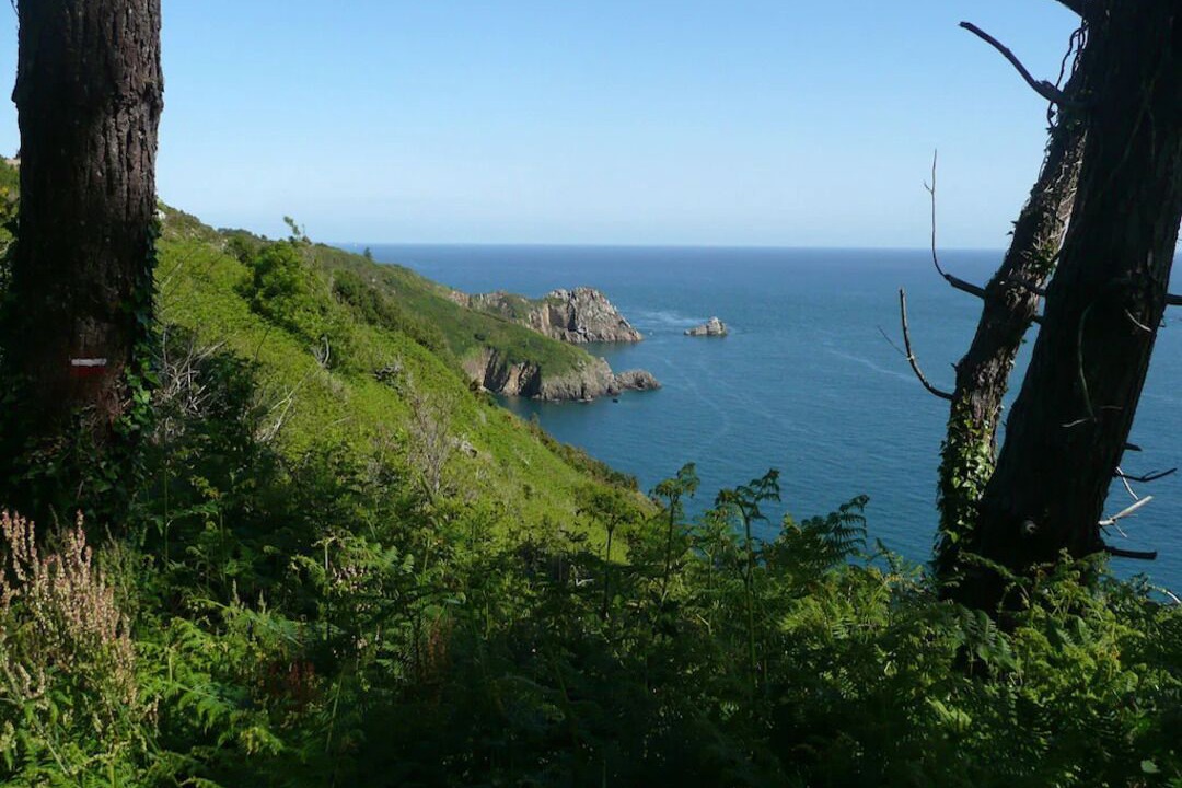 Photo of Others in Treveneuc
