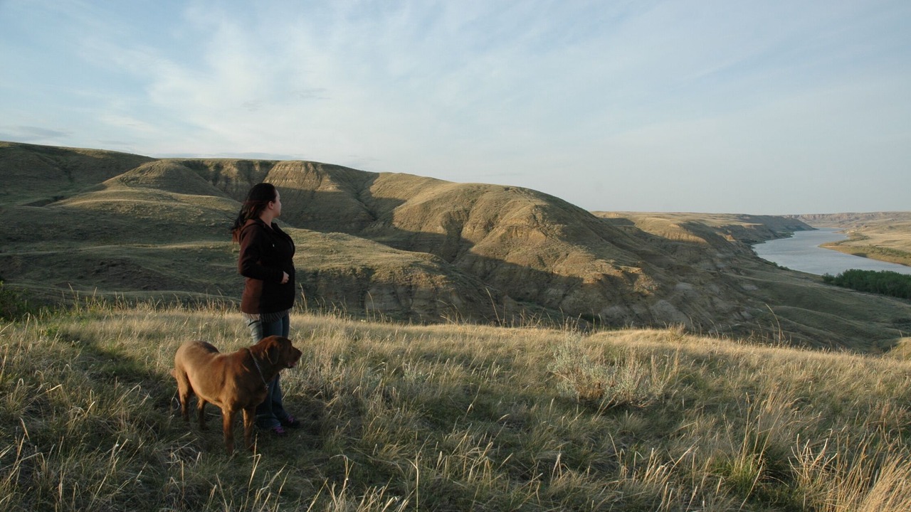 Photo of Others in Alberta