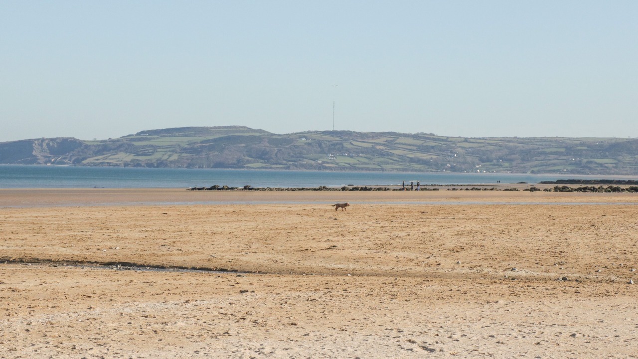 Photo of Others in Brynteg