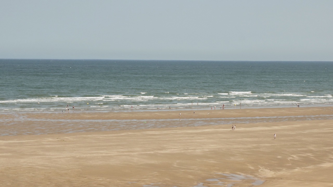 Photo of Others in Brynteg