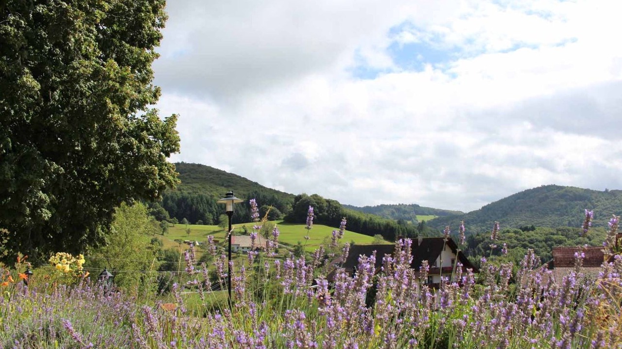 Photo of Outdoor in Endenburg