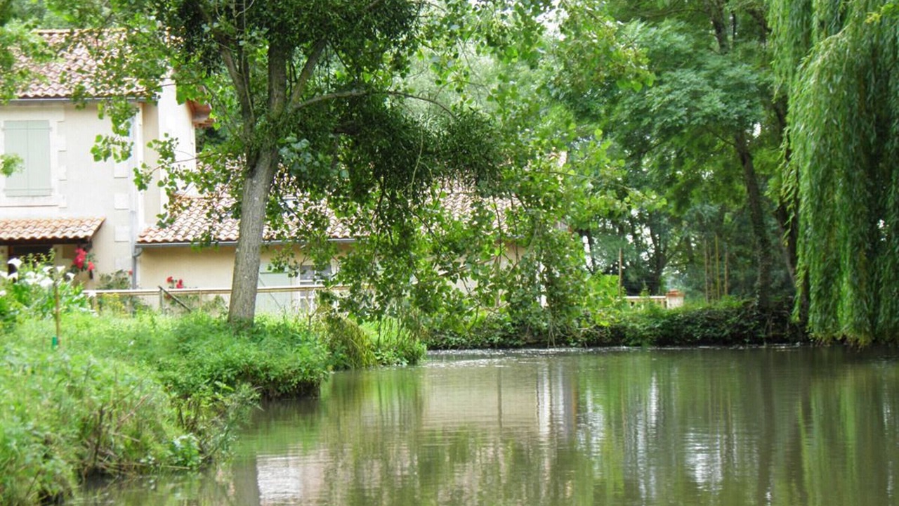 Photo of Outdoor in Foussais-Payre