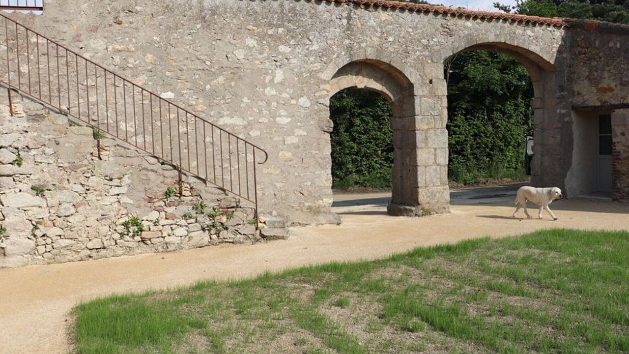 Photo of Outdoor in Les Herbiers