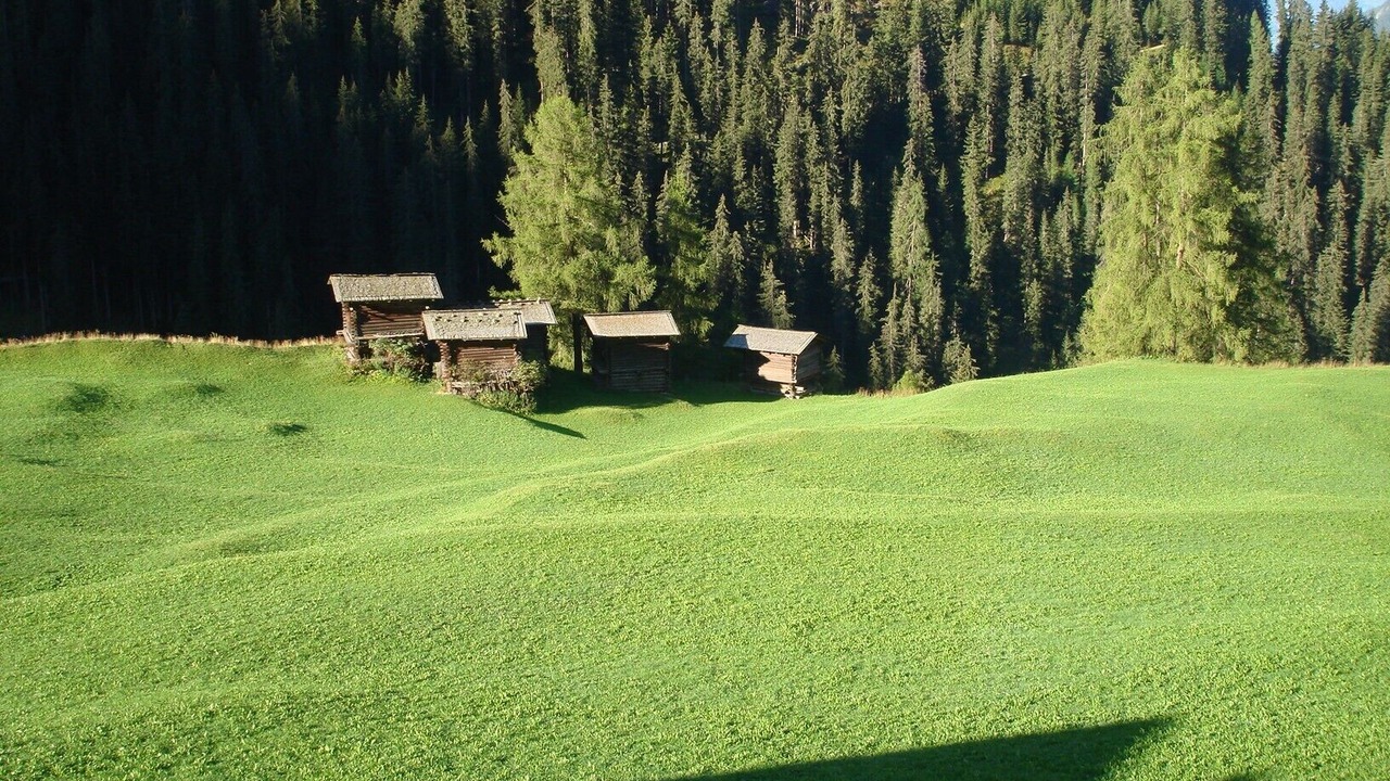 Photo of Outdoor in Monstein