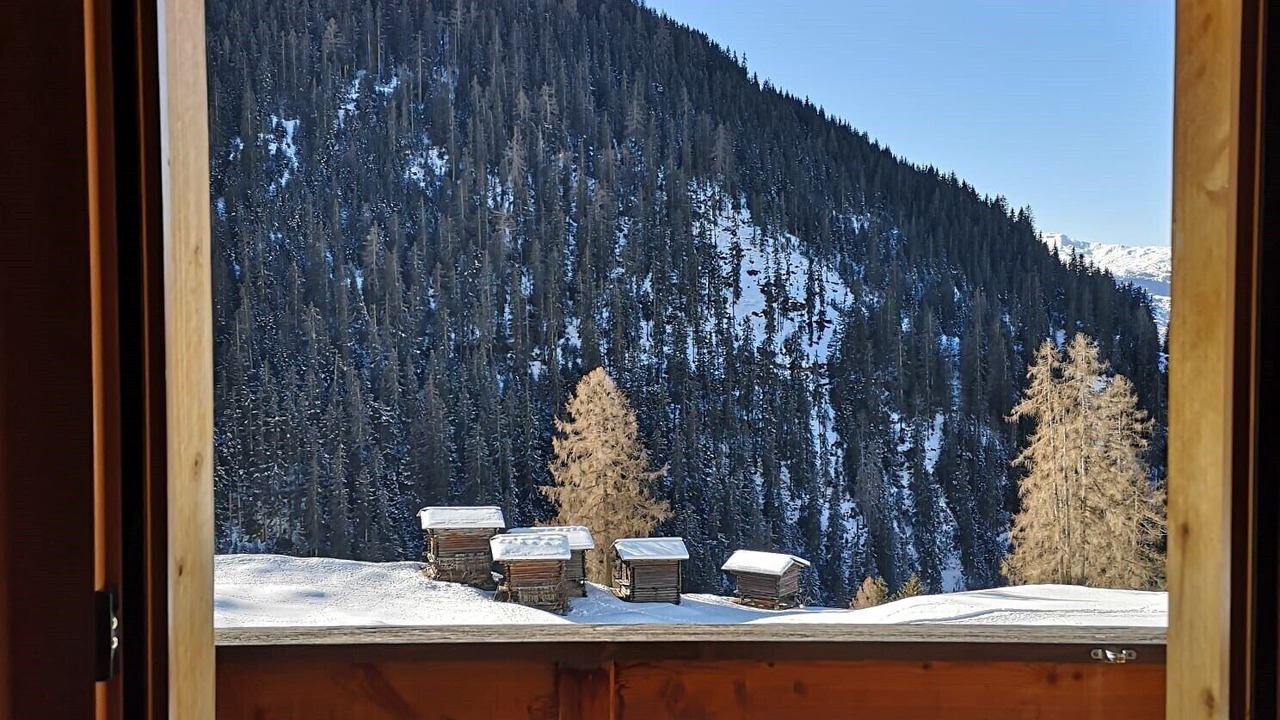 Photo of Outdoor in Monstein