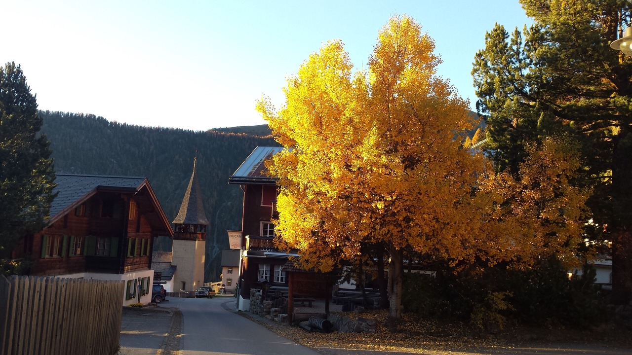 Photo of Outdoor in Monstein