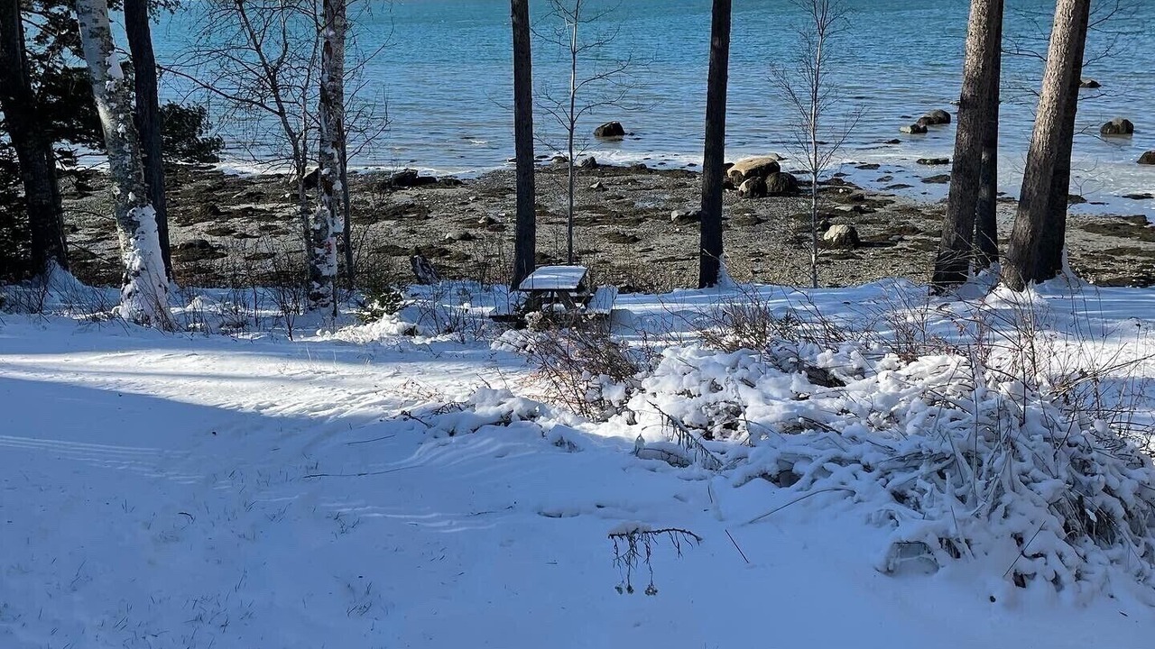 Photo of Others in Bar Harbor