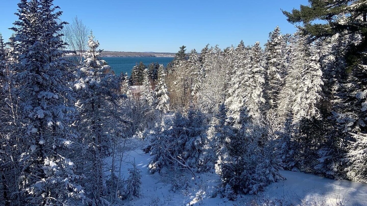 Photo of Others in Bar Harbor
