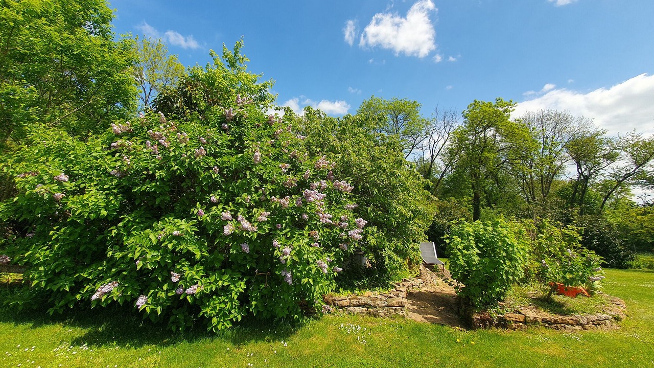 Photo of Outdoor in Eguilly