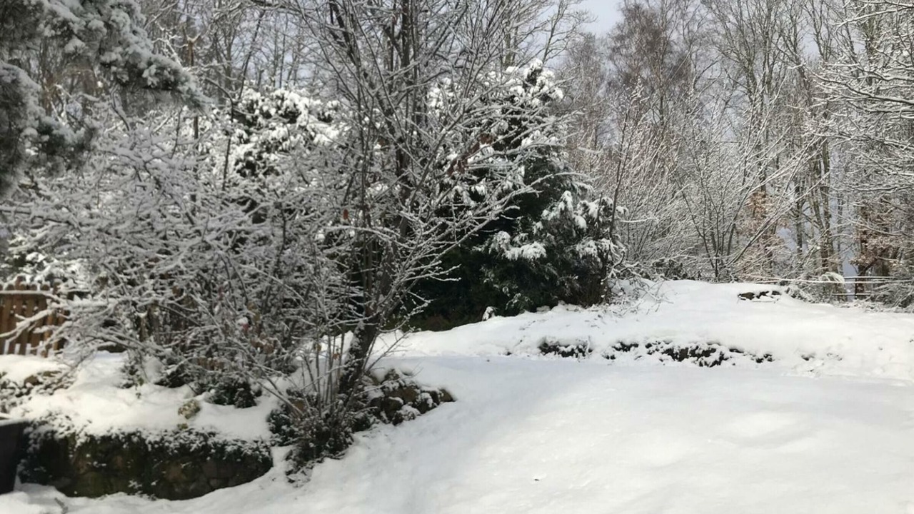 Photo of Outdoor in Saint-Priest-la-Prugne