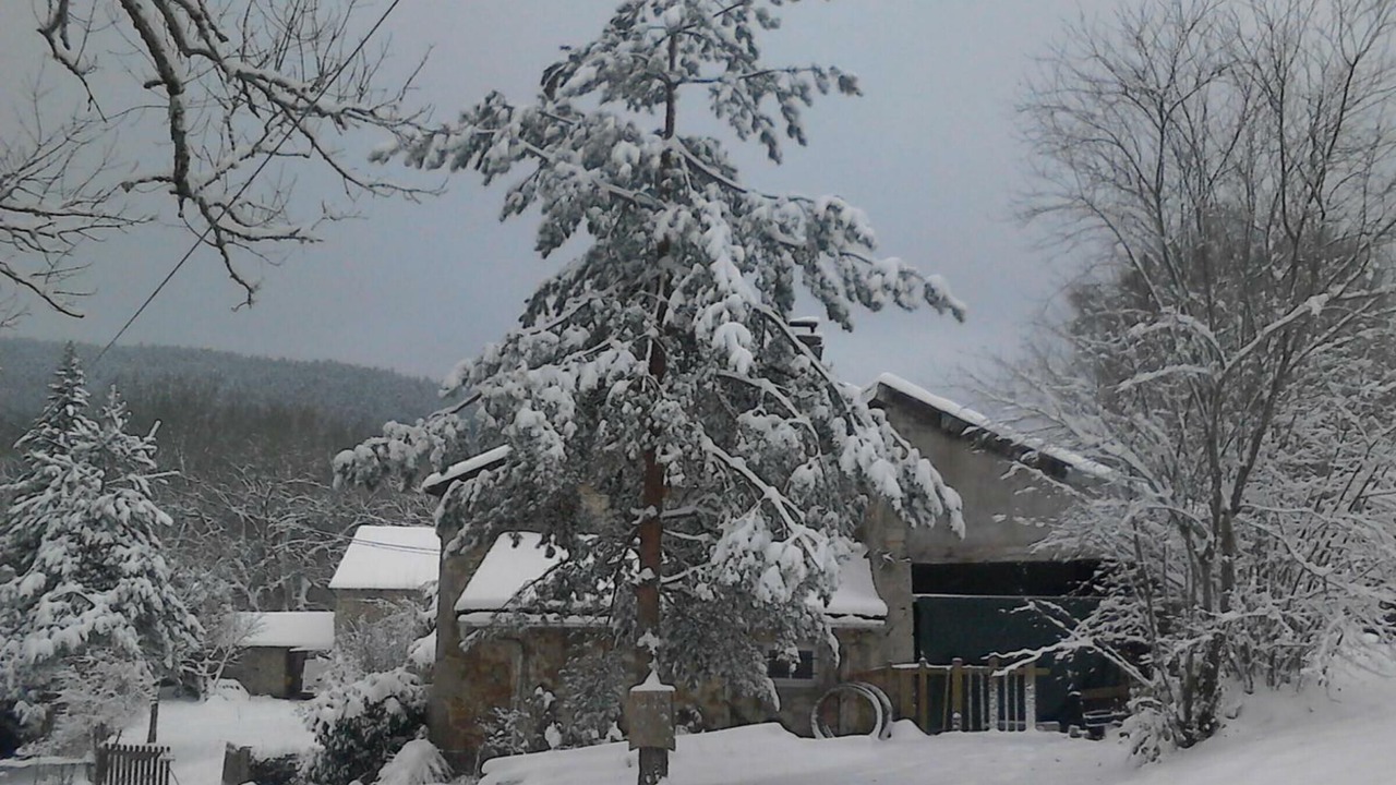 Photo of Outdoor in Saint-Priest-la-Prugne