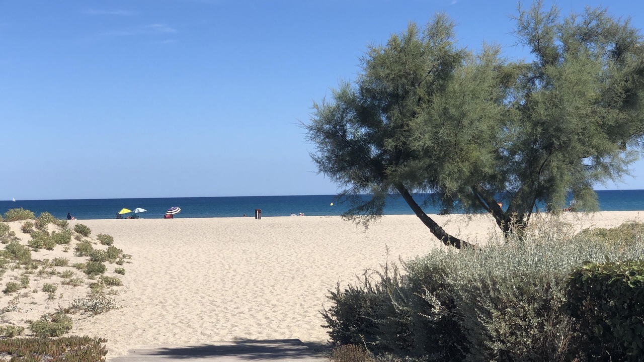 Photo of Others in Port Leucate