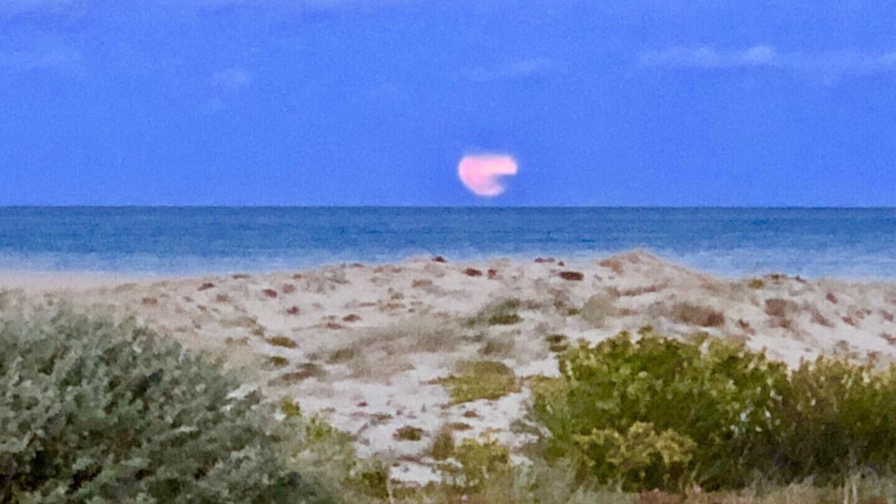 Photo of Others in Port Leucate