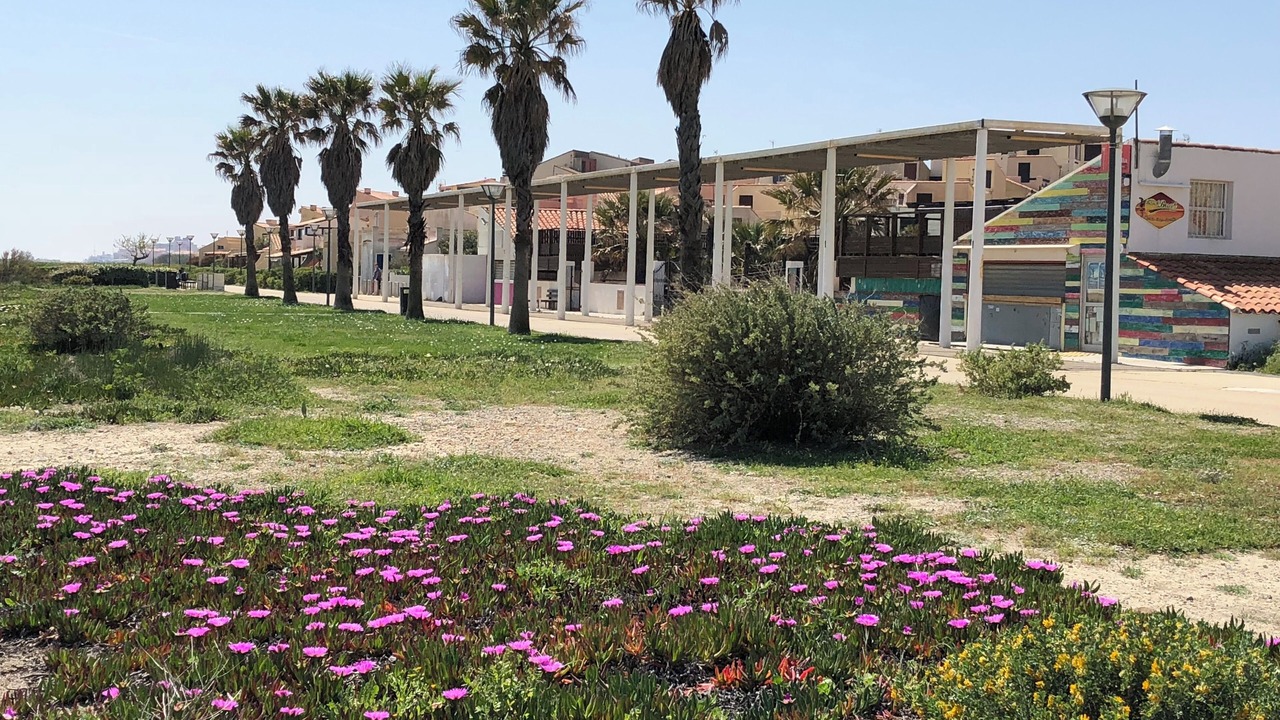 Photo of Outdoor in Port Leucate