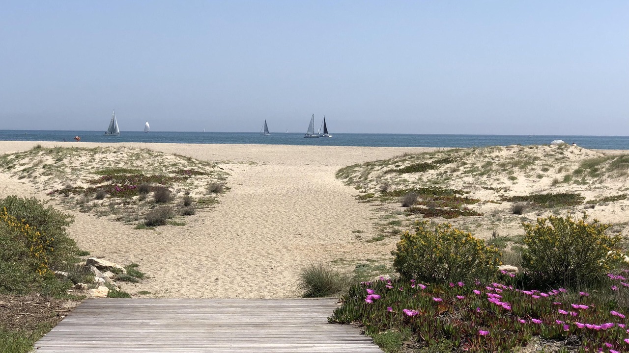 Photo of Others in Port Leucate