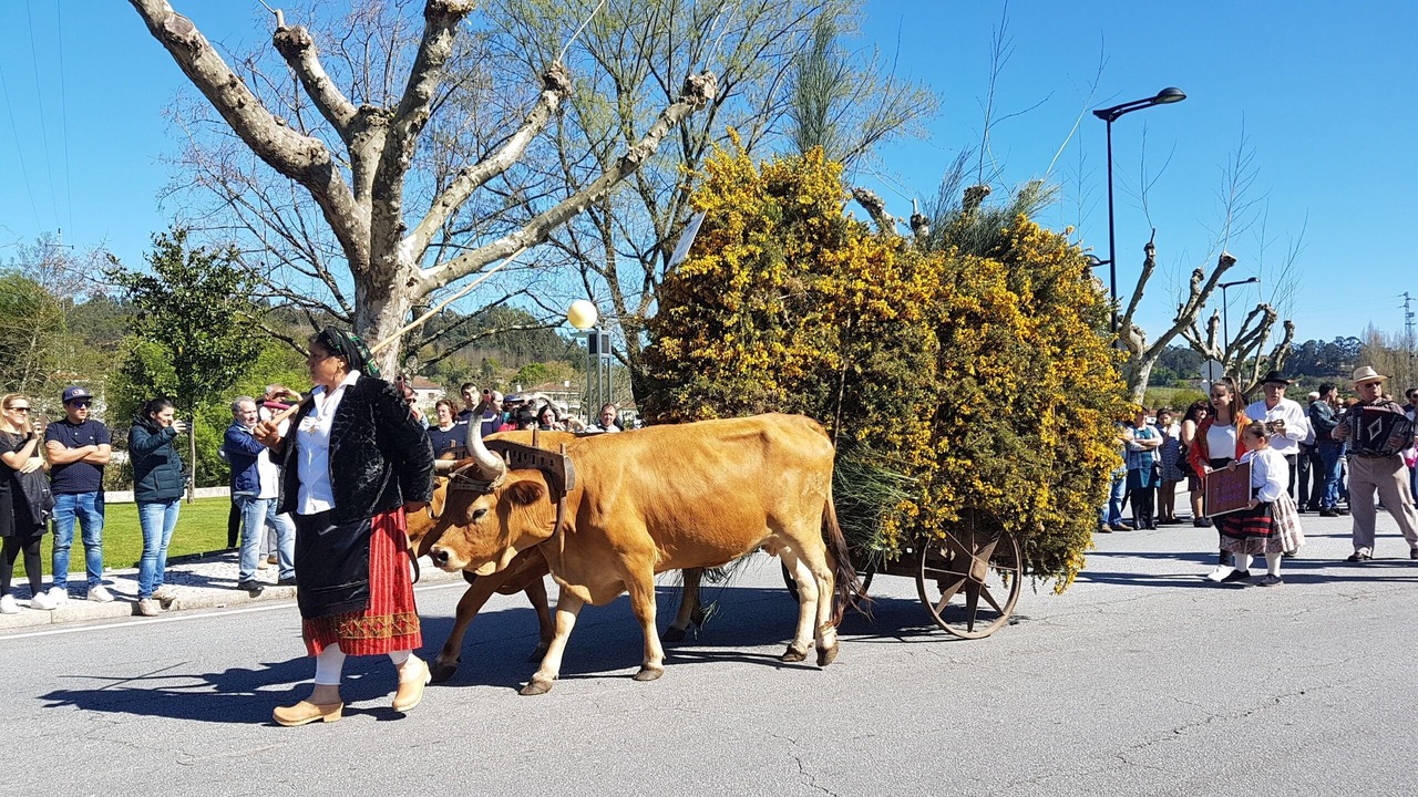 Photo of Others in Arcos de Valdevez