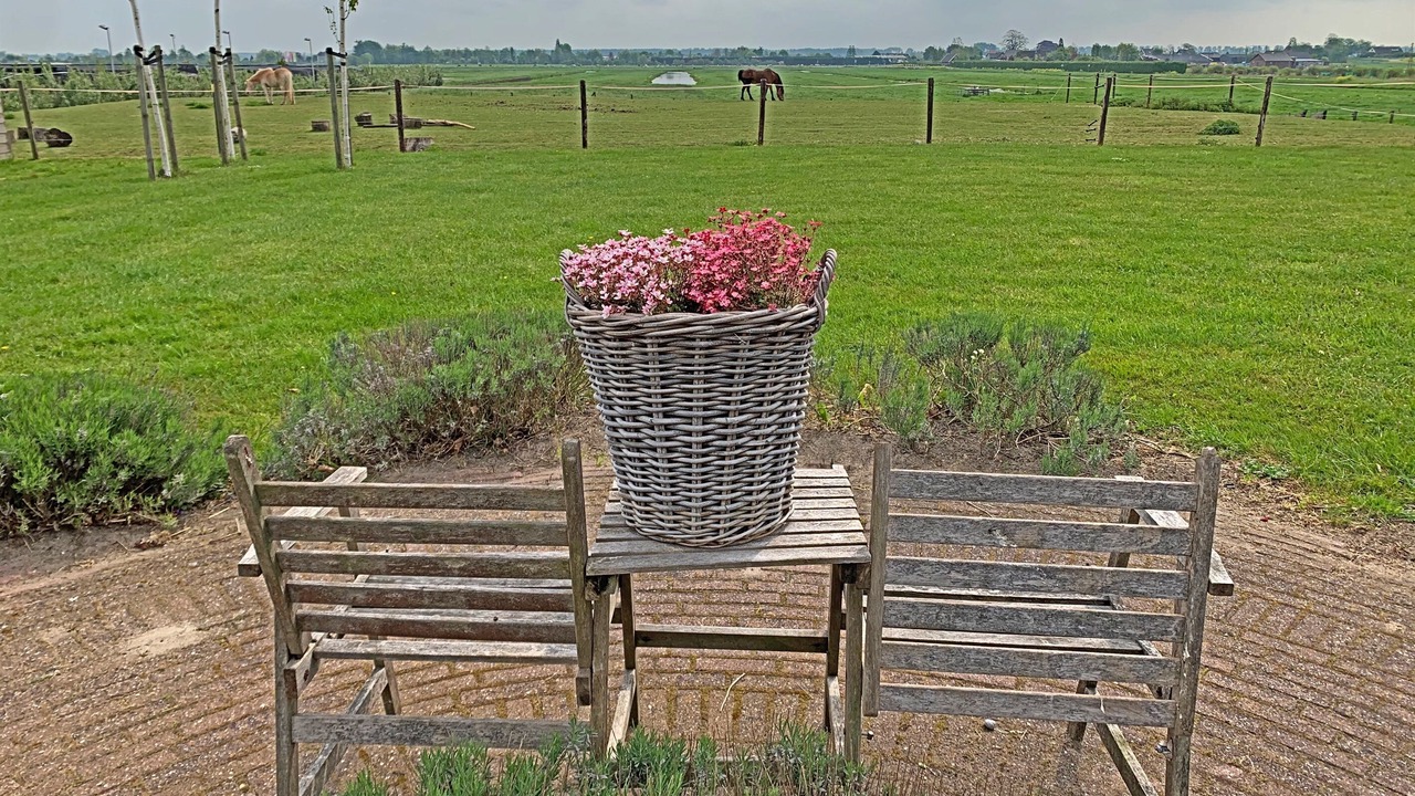 Photo of Outdoor in Boskoop