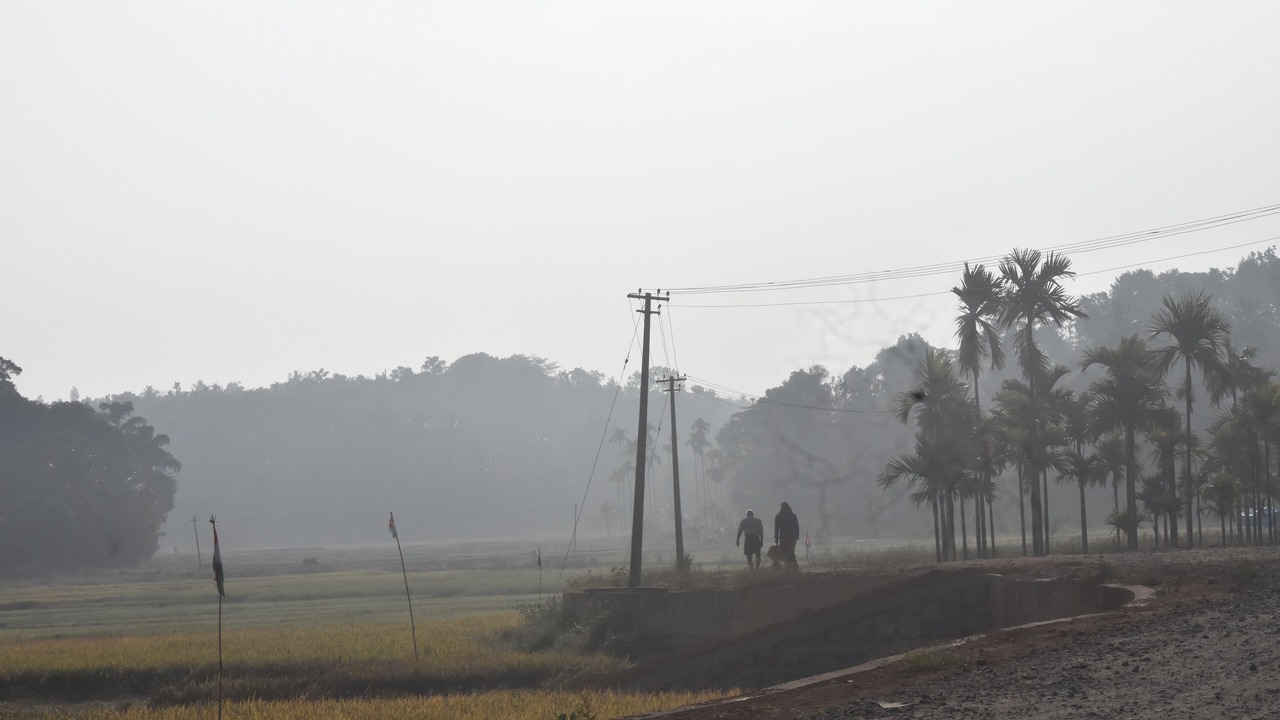 Photo of Others in Mananthavady