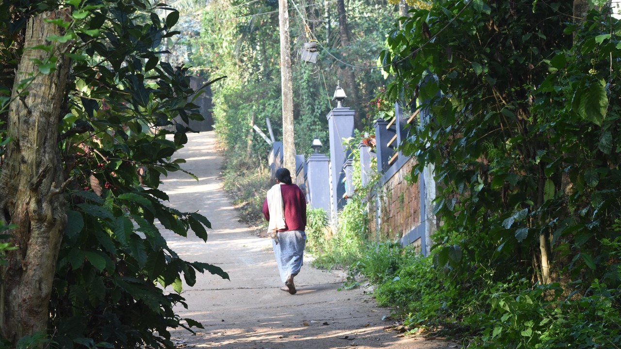 Photo of Outdoor in Mananthavady
