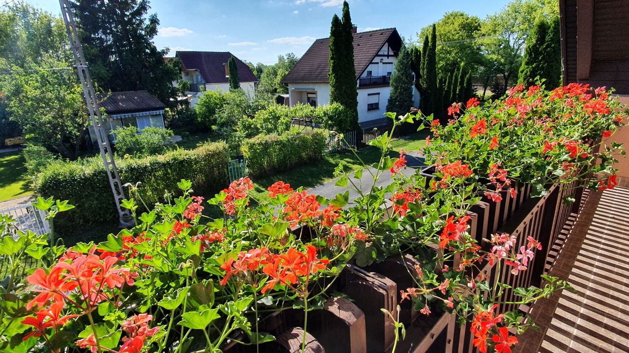 Photo of Outdoor in Balatonmariafurdo