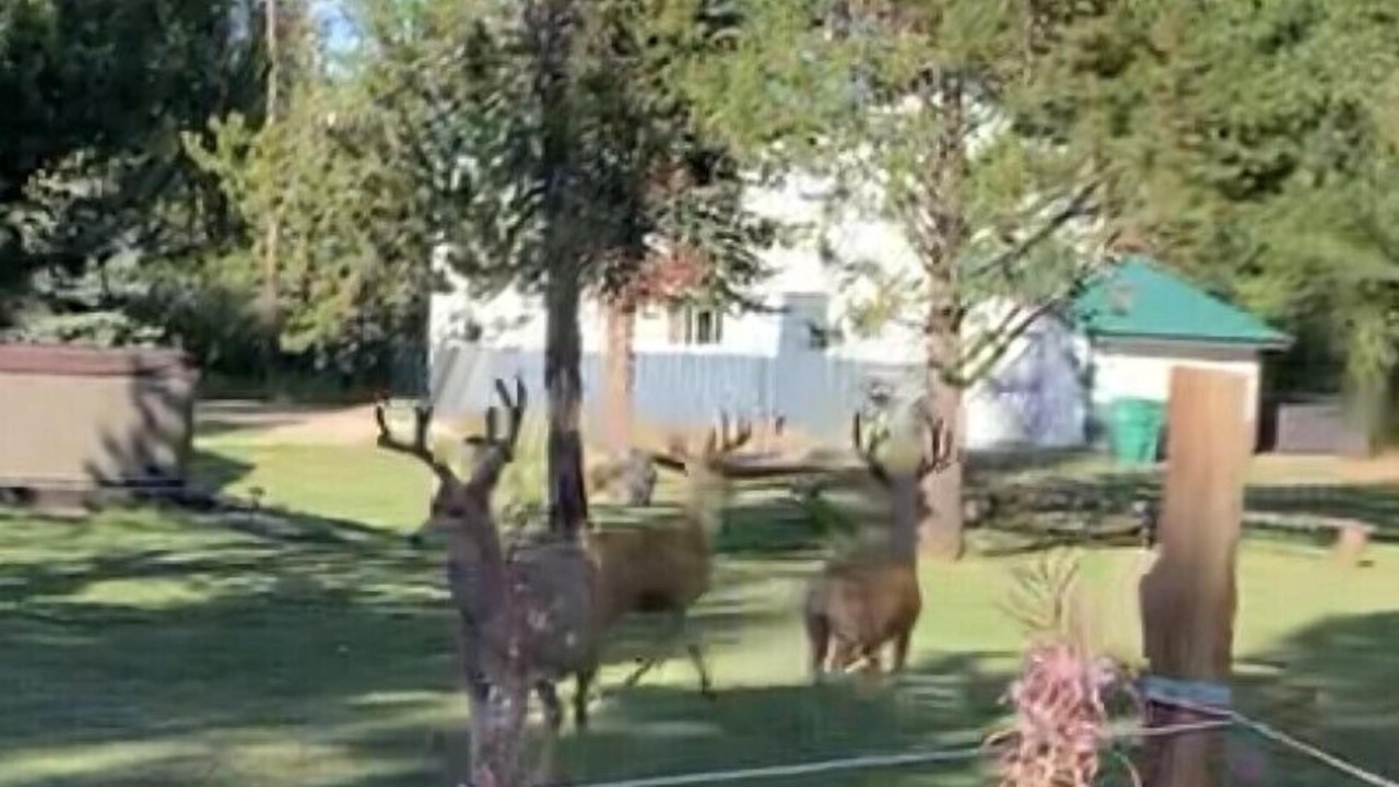 Photo of Outdoor in Donnelly
