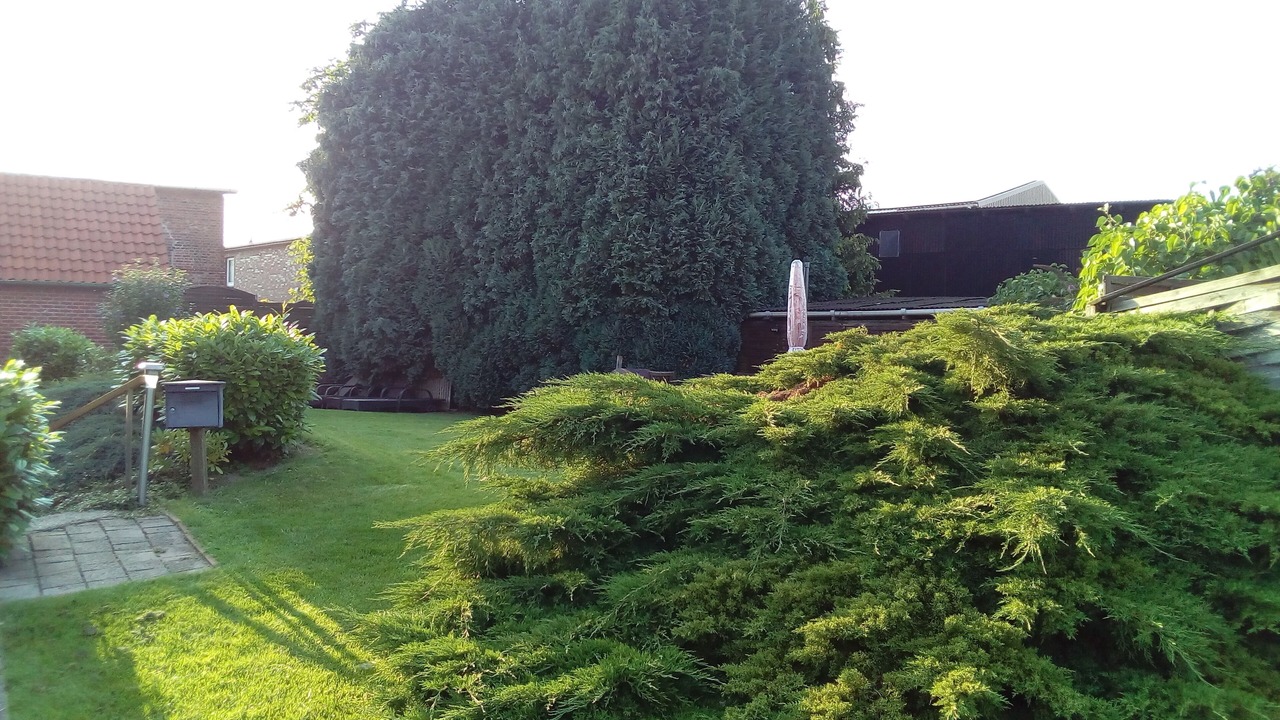 Photo of Outdoor in Mittelnkirchen