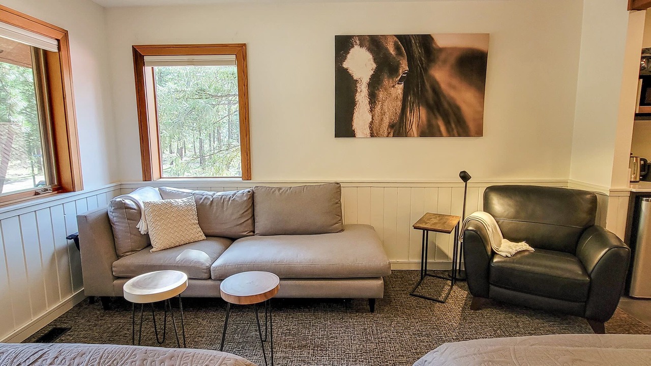 Photo of Livingroom in Mazama