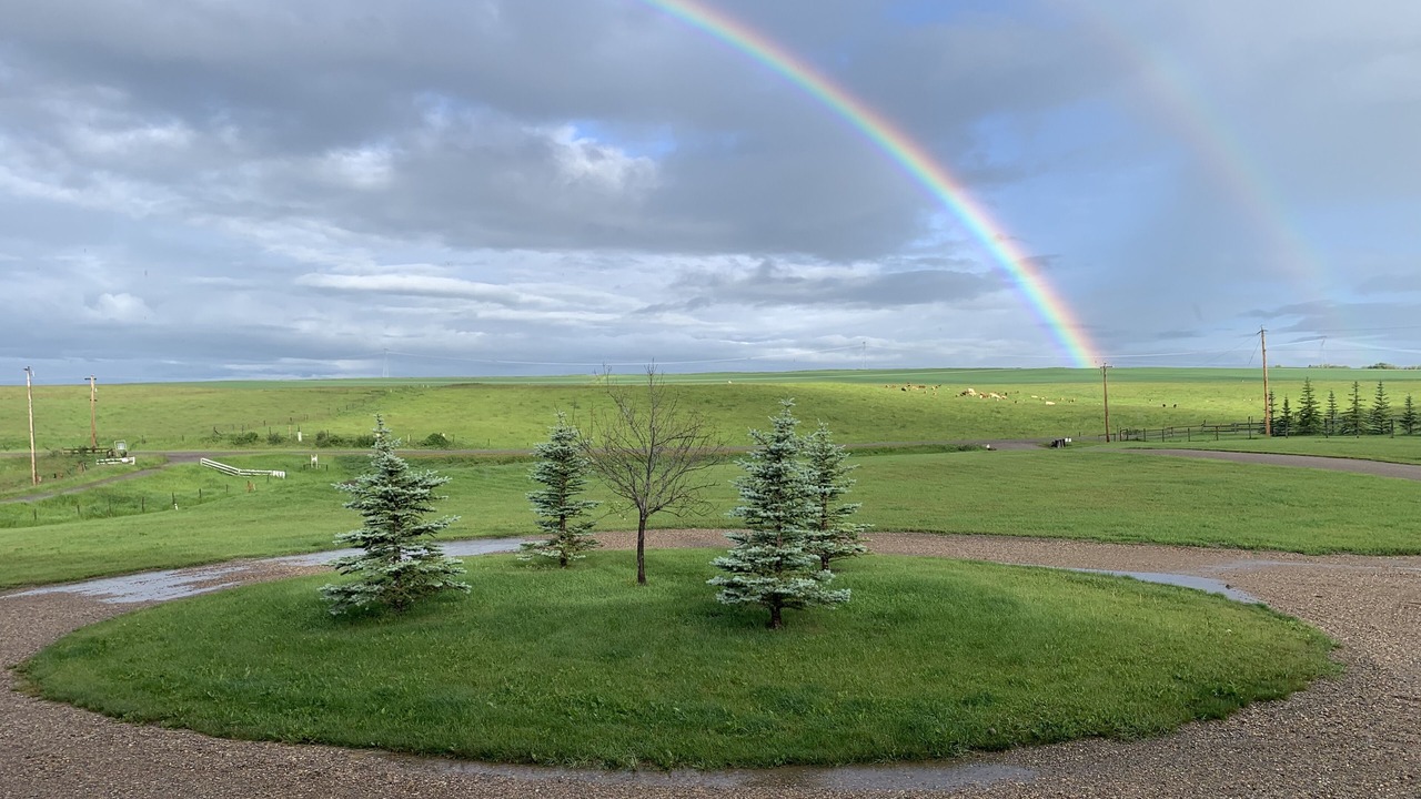 Photo of Outdoor in Calgary