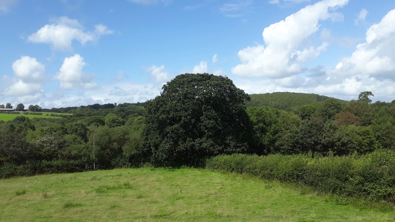 Photo of Outdoor in Brazzacott