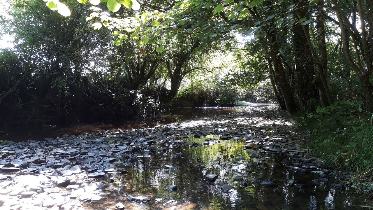 Photo of Outdoor in Brazzacott