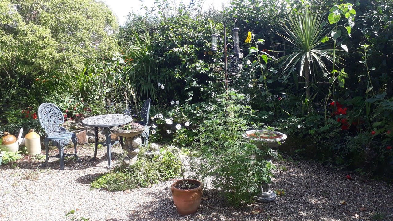 Photo of Outdoor in Brazzacott